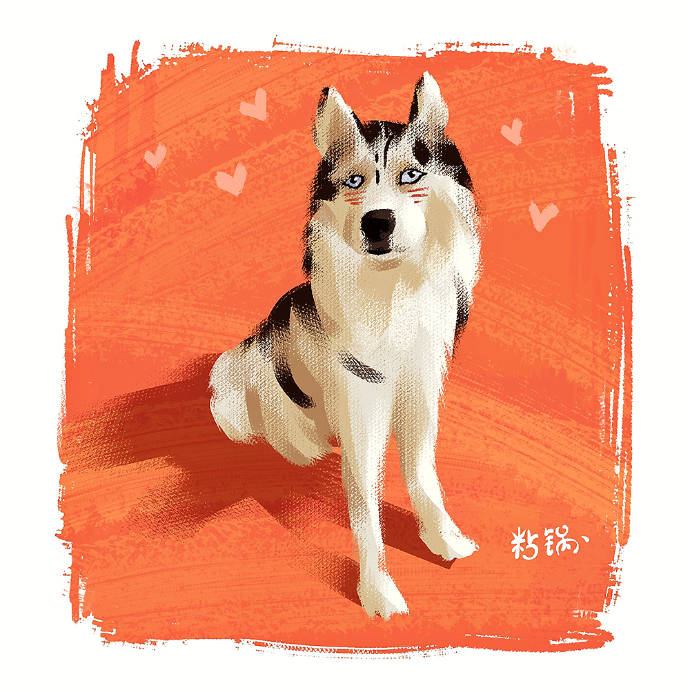 撸起猫狗就是干!