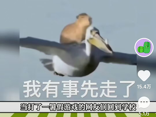 快手爆款视频《新学期 新赛季》