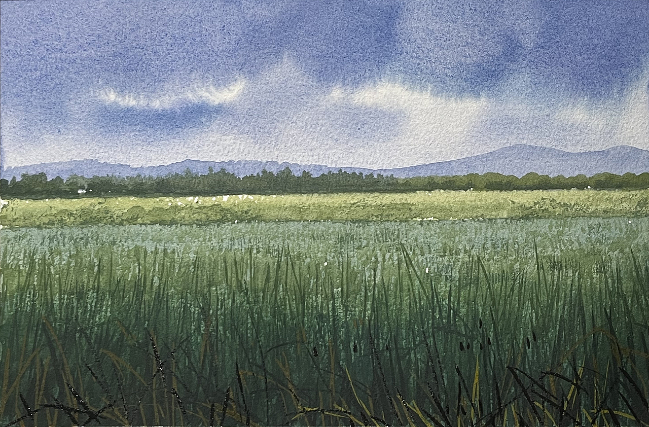 夏日的水彩课堂（图ZMzc2OTE1NjY0） - 绘画 - 站酷设计师孙小良的水彩画原创素材 - 站酷ZCOOL