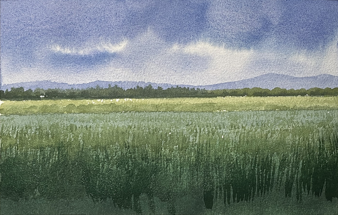 夏日的水彩课堂（图ZMzc2OTE1NjUy） - 绘画 - 站酷设计师孙小良的水彩画原创素材 - 站酷ZCOOL