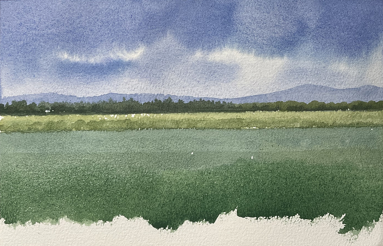 夏日的水彩课堂（图ZMzc2OTE1NjQ0） - 绘画 - 站酷设计师孙小良的水彩画原创素材 - 站酷ZCOOL