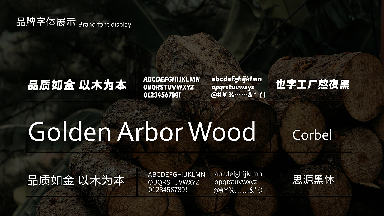 金乔木业品牌视觉提案