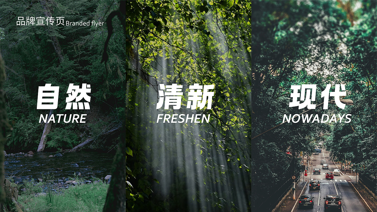 金乔木业品牌视觉提案