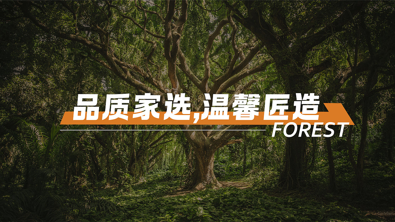 金乔木业品牌视觉提案