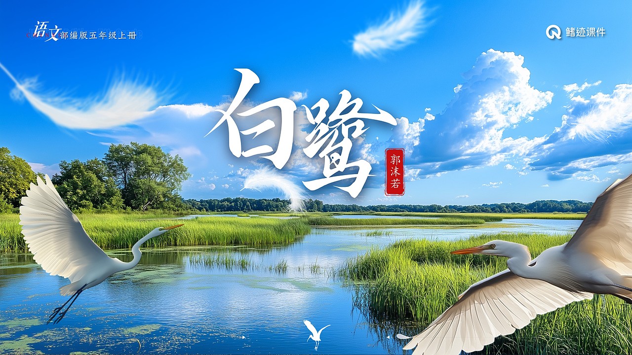 小学语文公开课课件《白鹭》