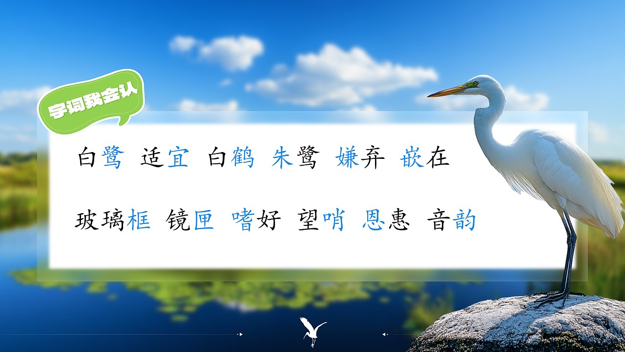 小学语文公开课课件《白鹭》