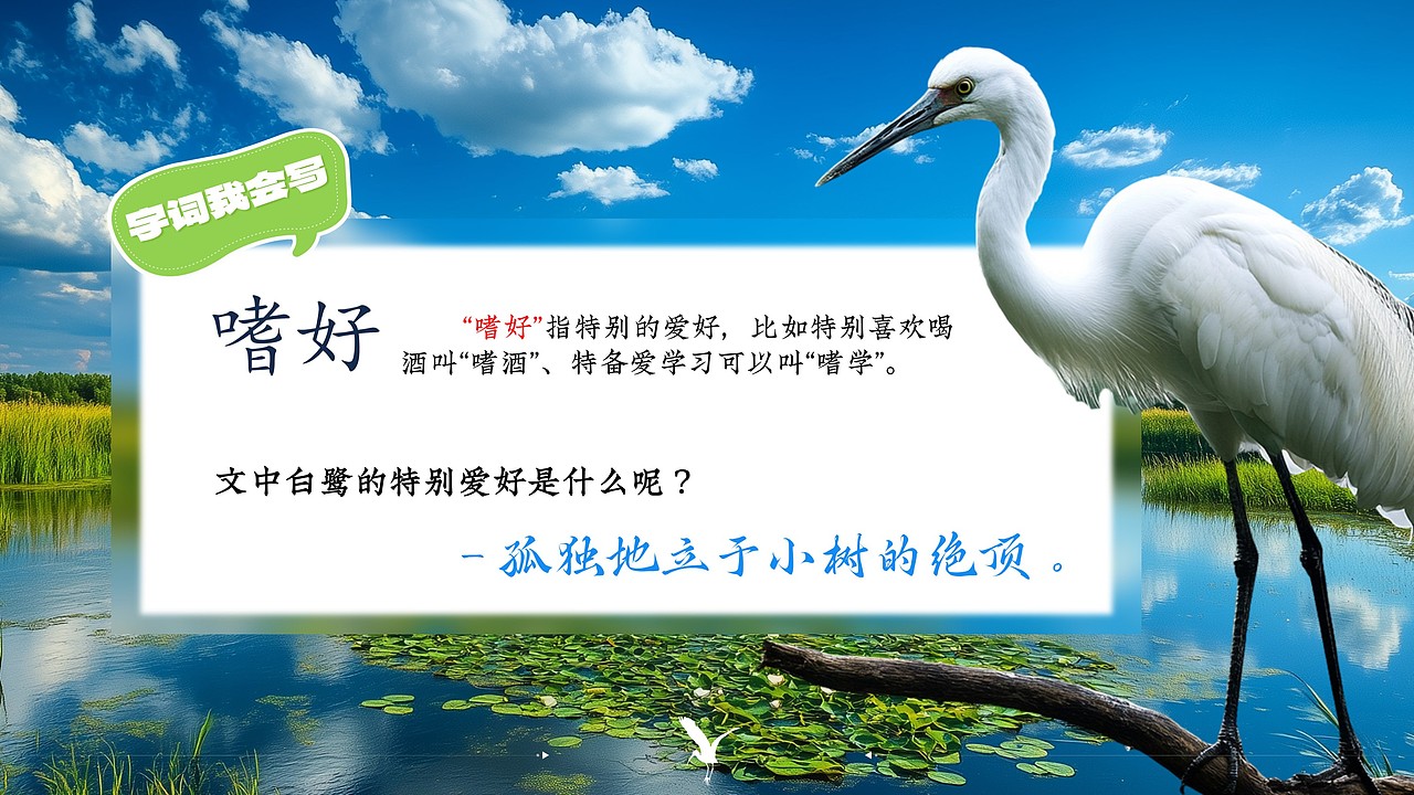 小学语文公开课课件《白鹭》