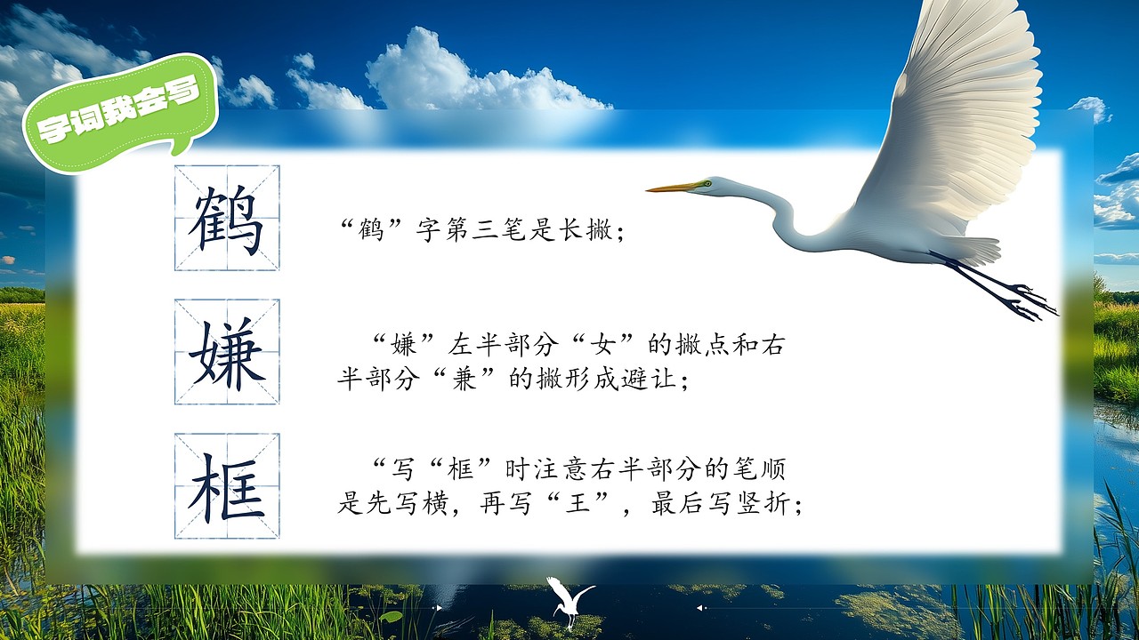 小学语文公开课课件《白鹭》