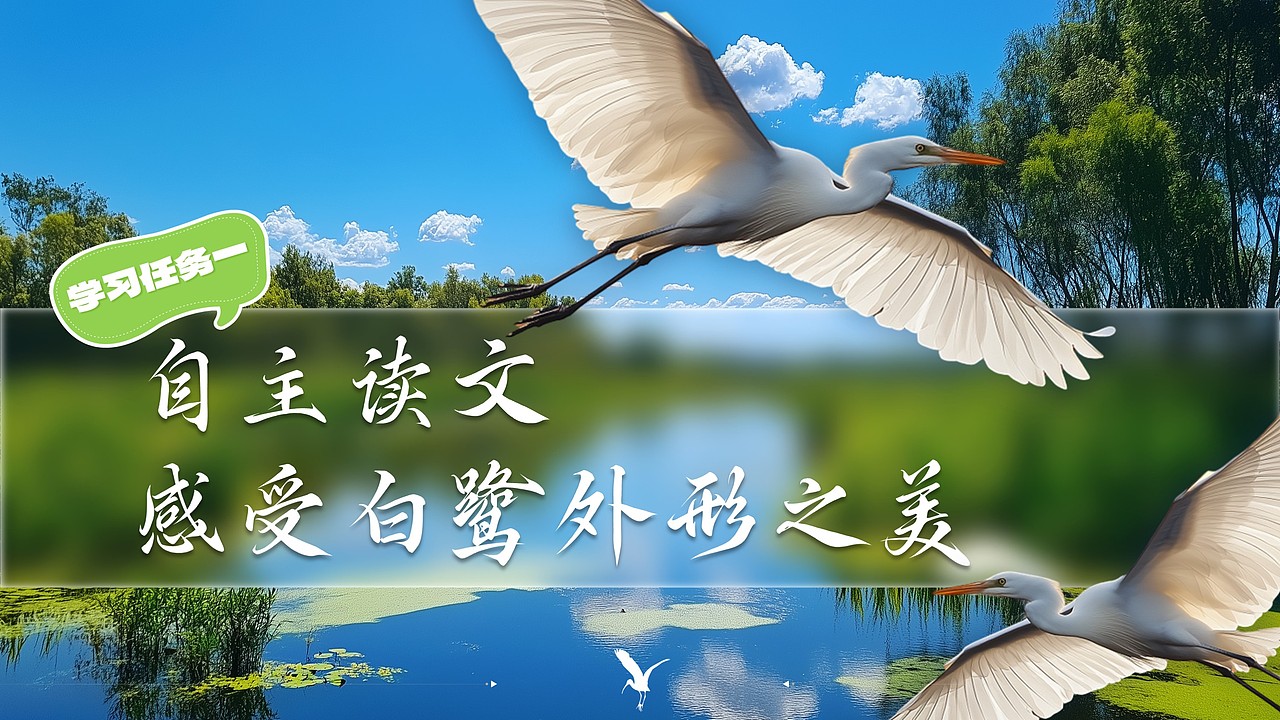 小学语文公开课课件《白鹭》