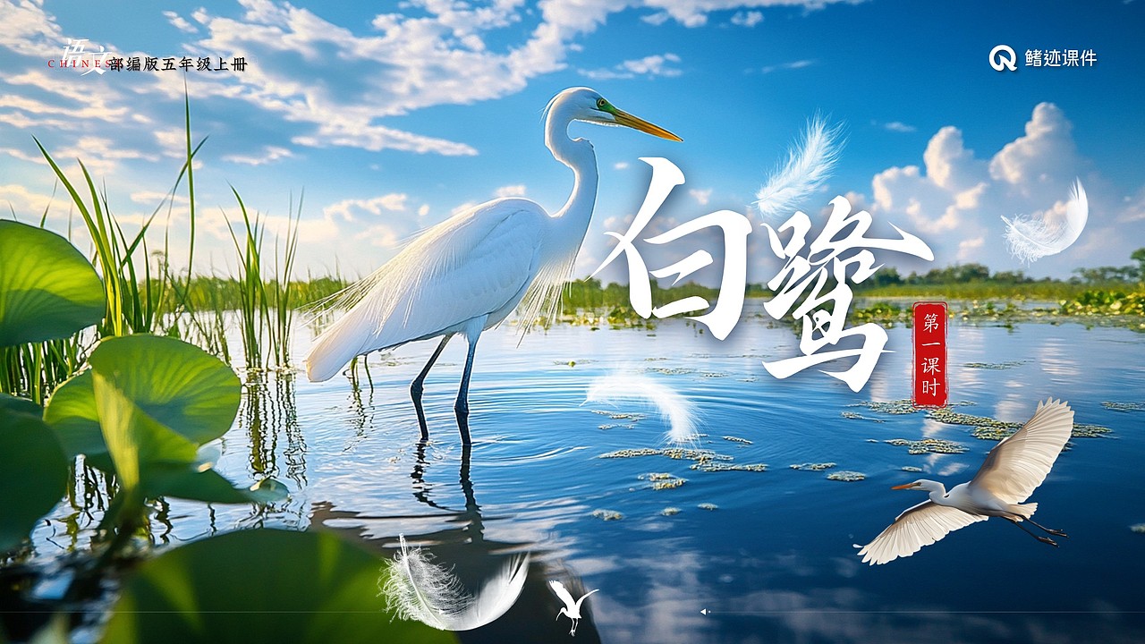 小学语文公开课课件《白鹭》