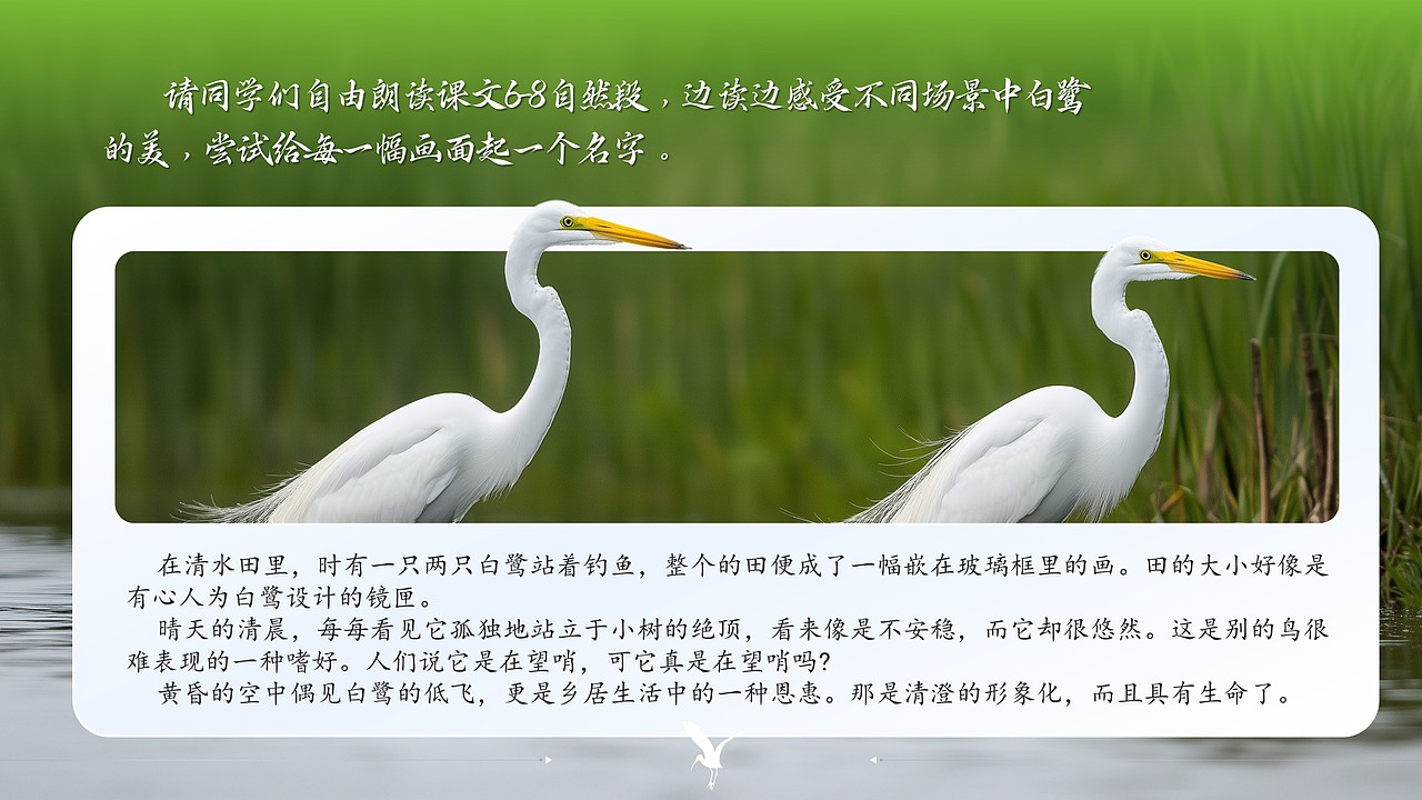 小学语文公开课课件《白鹭》