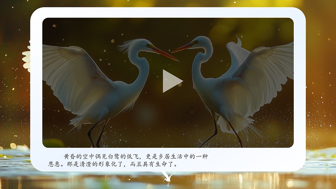 小学语文公开课课件《白鹭》