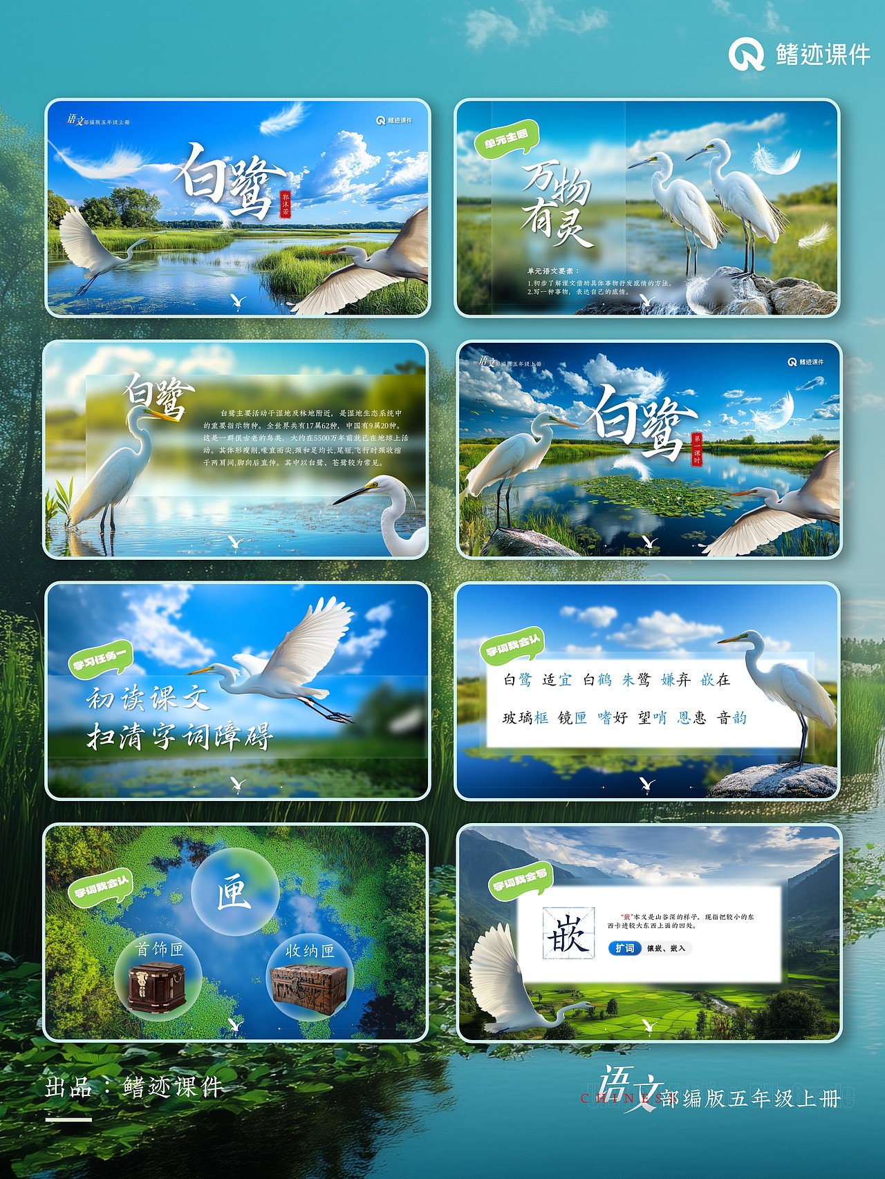 小学语文公开课课件《白鹭》