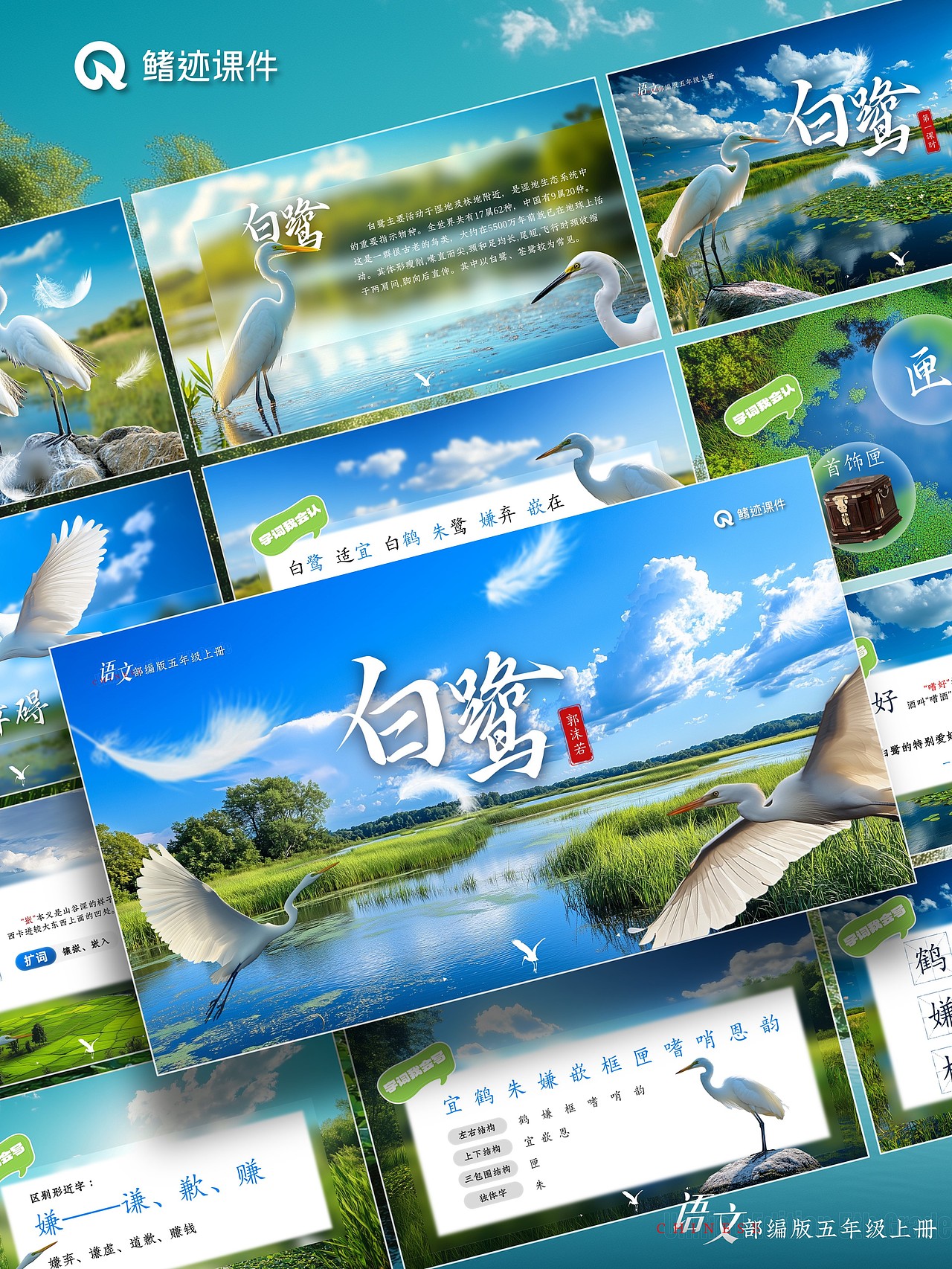 小学语文公开课课件《白鹭》