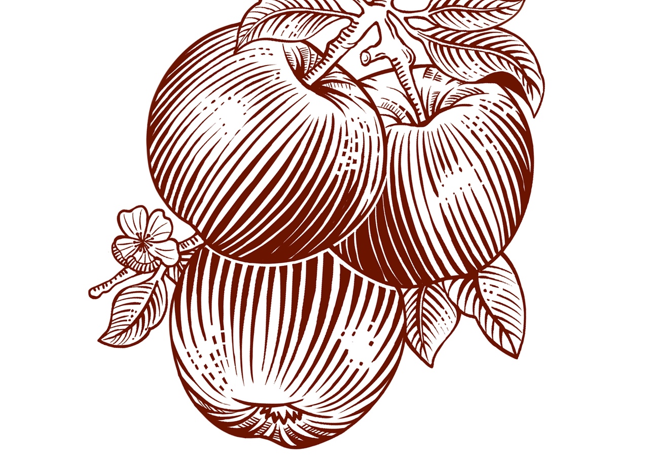 水果包装设计｜ 苹果礼盒包装设计｜ 原创（图ZMzc2OTY0MTY0） - 商业插画 - 站酷设计师包装设计温小柔原创素材 - 站酷ZCOOL