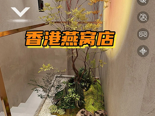 燕窝滋补店设计