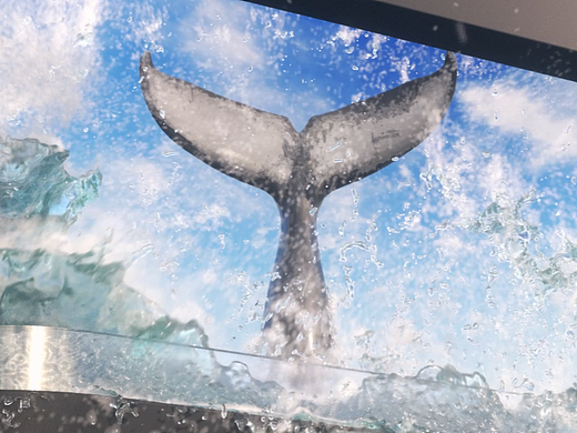 沪西新天地裸眼3D项目