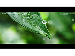 保利&白勺茶館 先導片