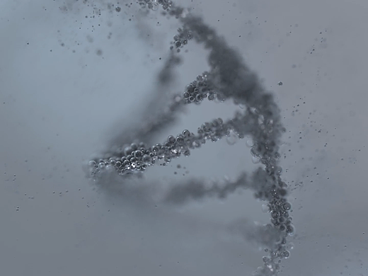 分子