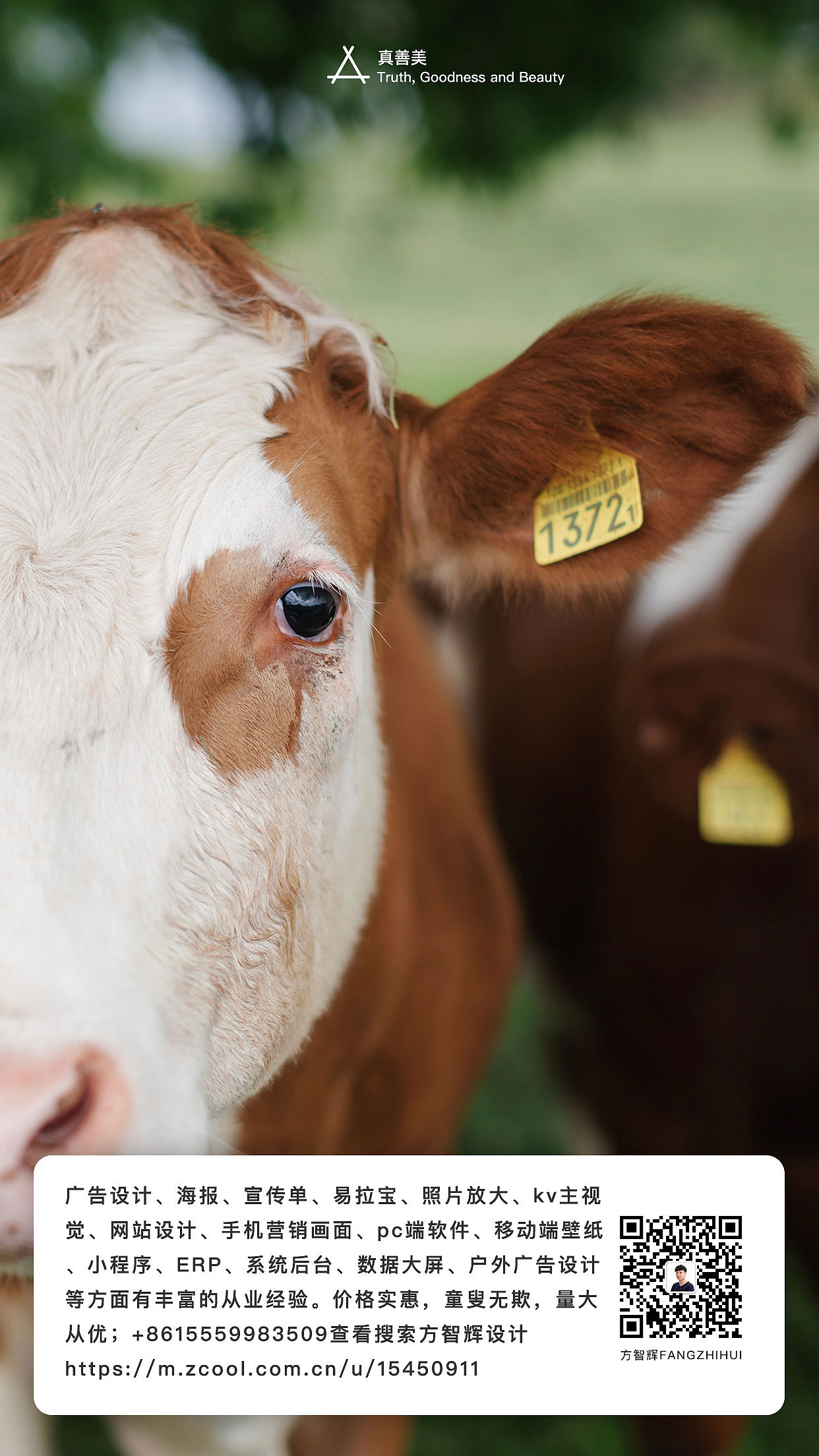 方智辉设计fnagzhihui真善美