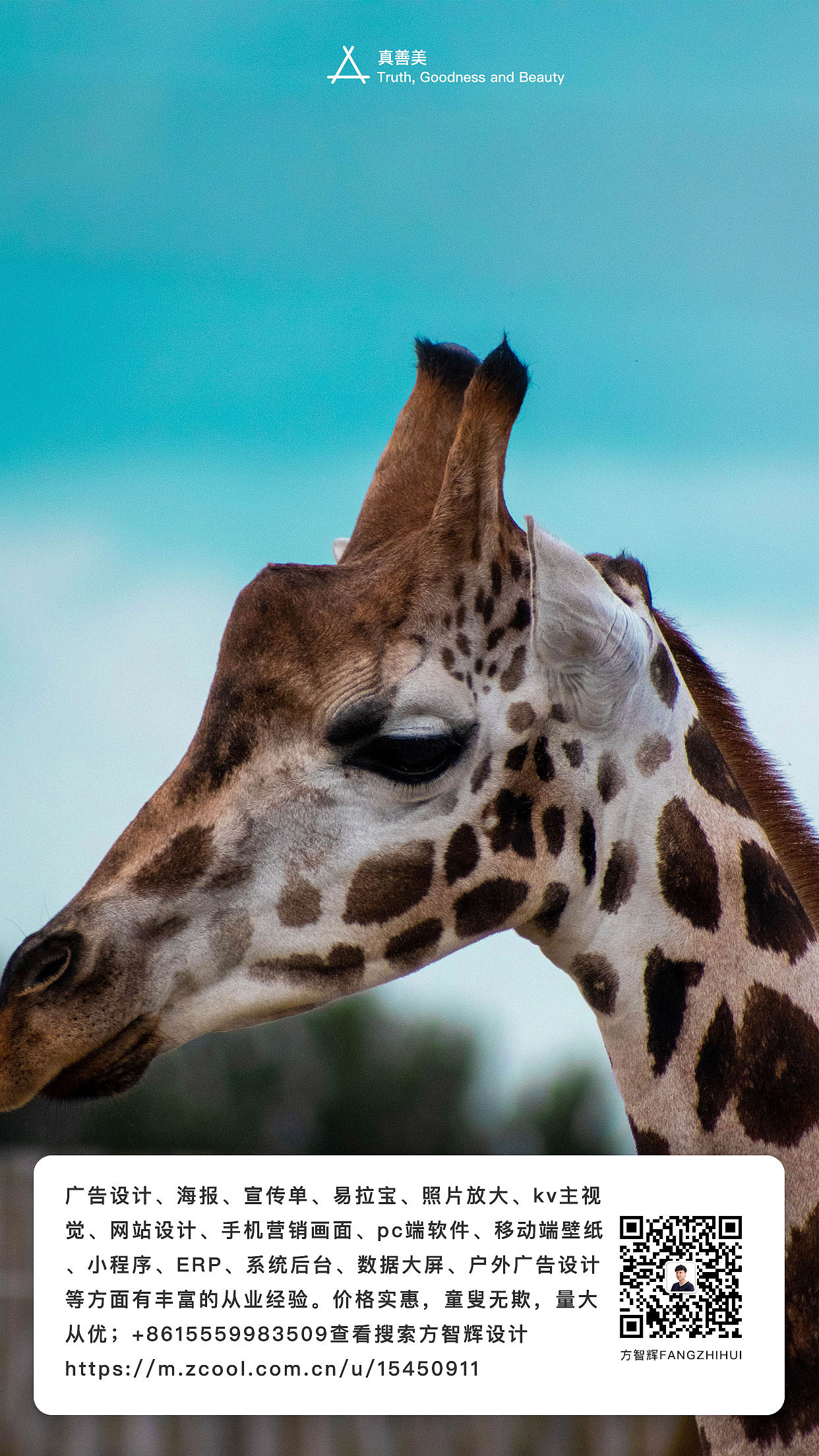 方智辉设计fnagzhihui真善美