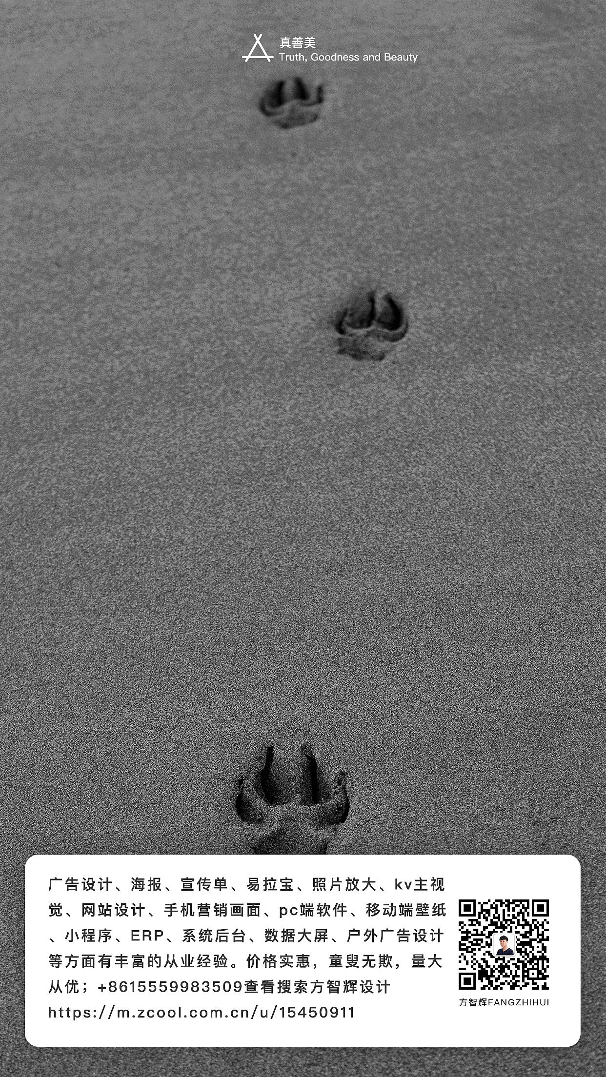 方智辉设计fnagzhihui真善美