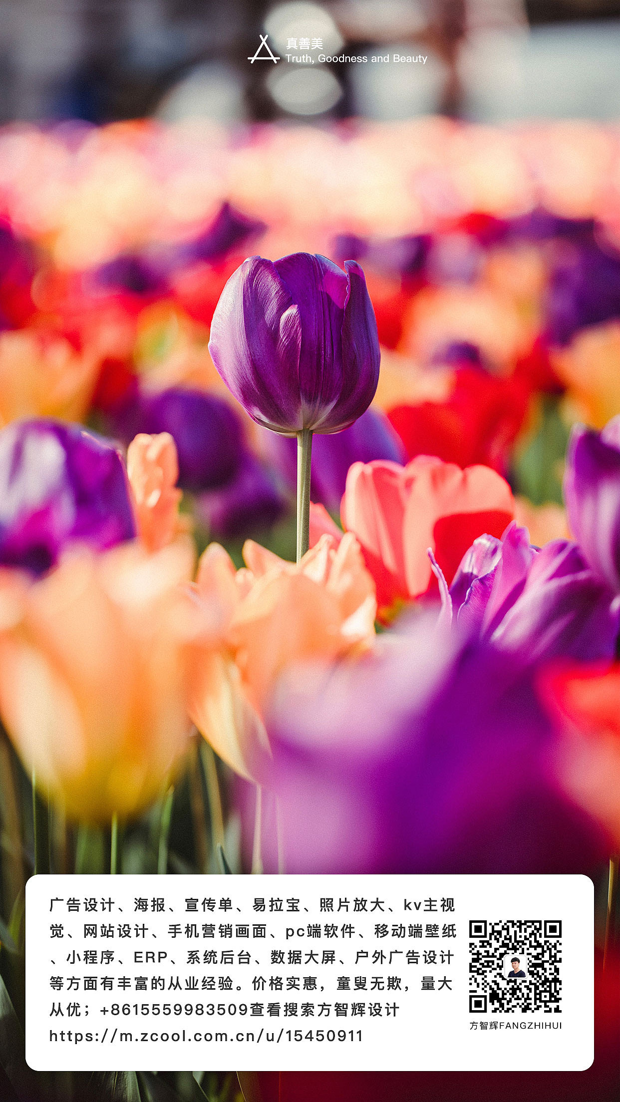 方智辉设计fnagzhihui真善美