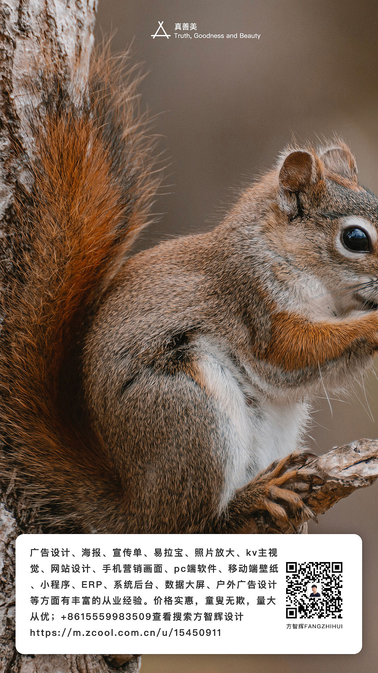 方智辉设计fnagzhihui真善美