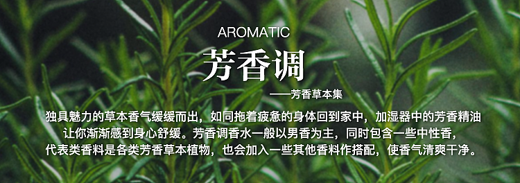 香水气味小卡片