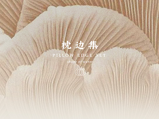 诗集画册