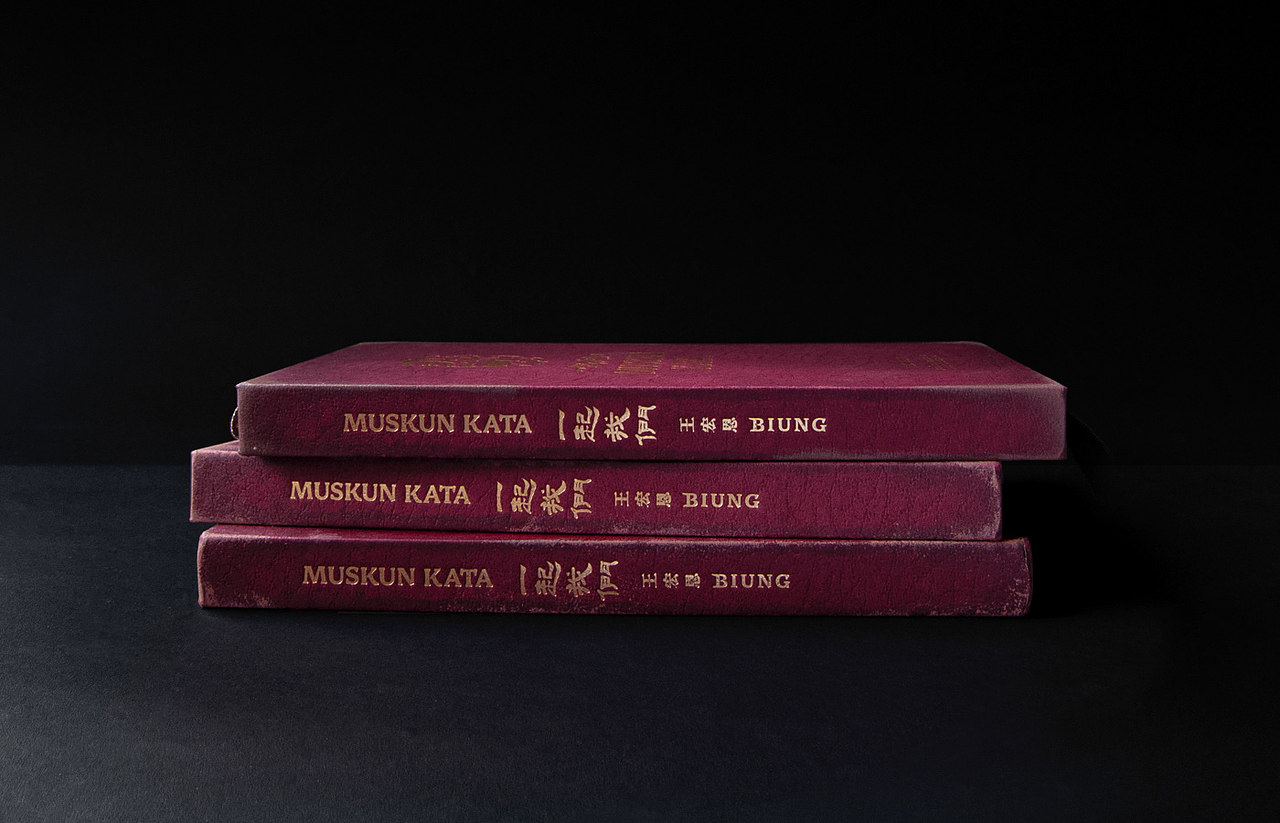 Muskun kata 一起我們 - 王宏恩 Biung 音乐专辑