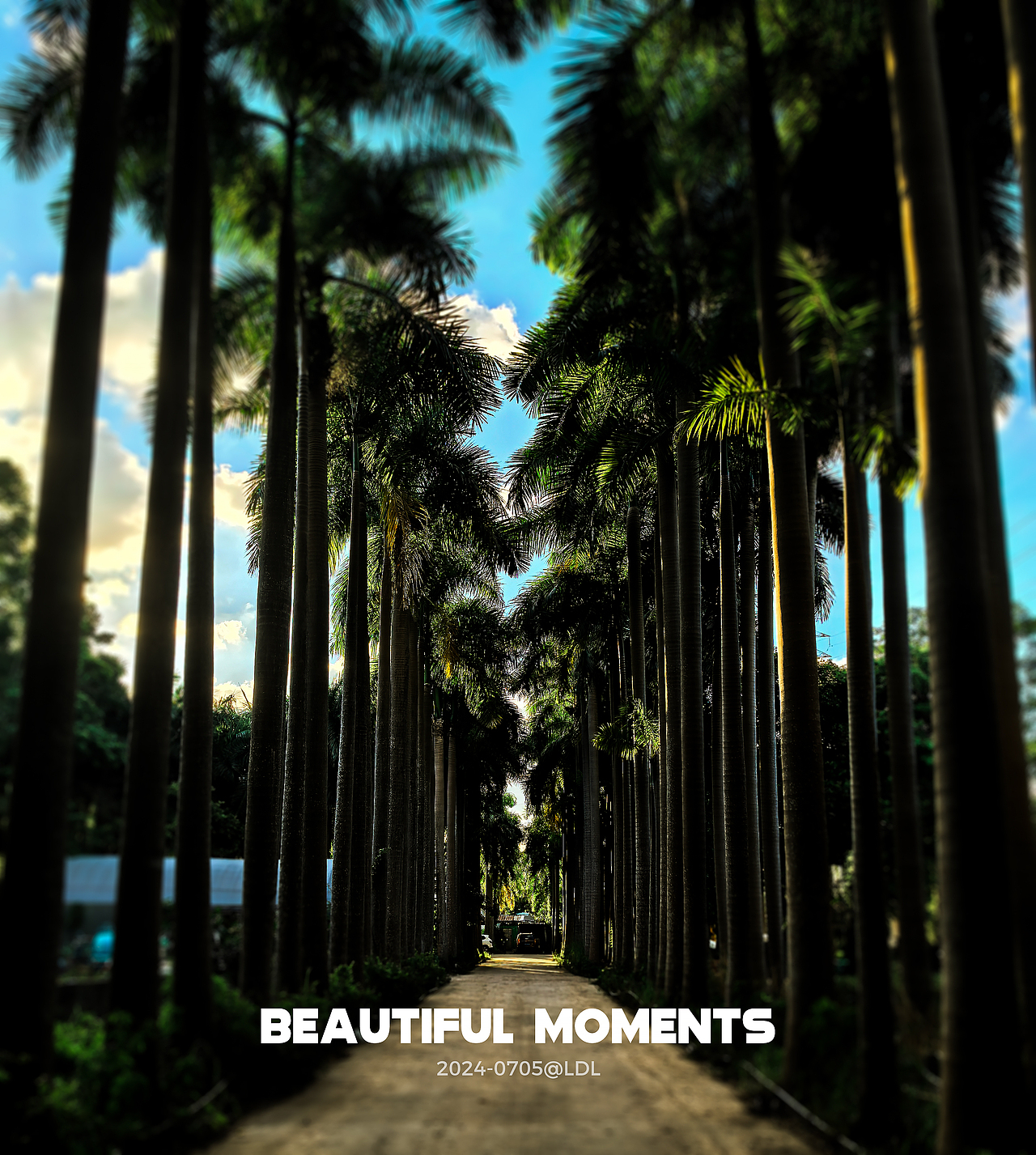 街拍 摄影（图ZMzc3MTIyMjEy） - 风光摄影 - 站酷设计师小菜很懒原创素材 - 站酷ZCOOL