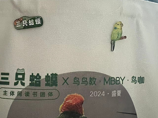 三只蛤蟆读书团体-周边设计