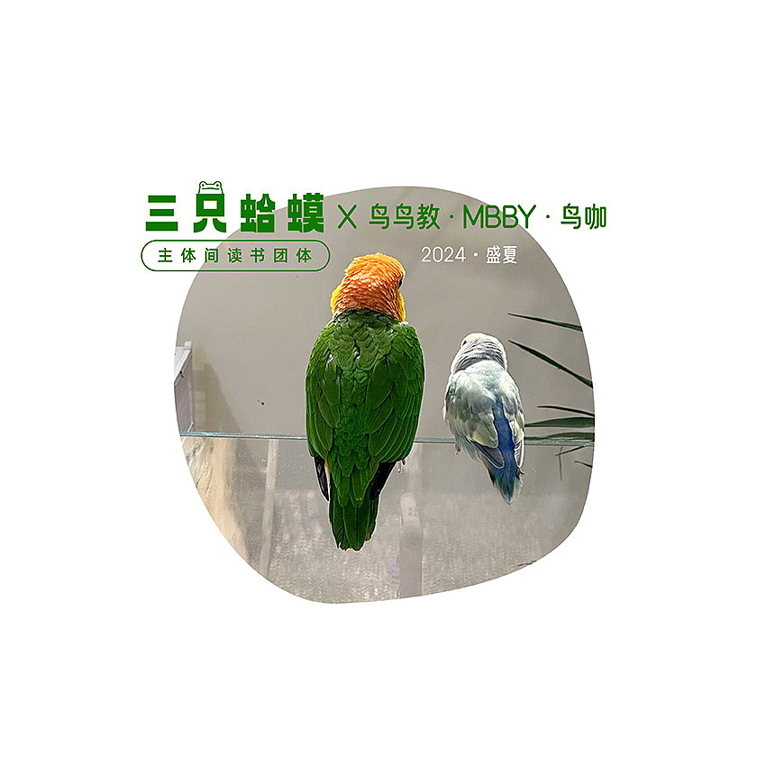 三只蛤蟆读书团体-周边设计