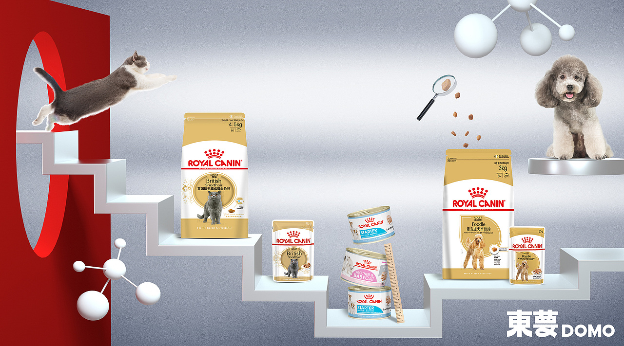 产品平面摄影 / 皇家