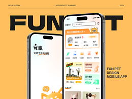 精致界面