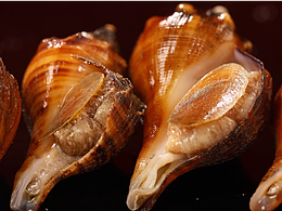 美食视频|北方饺子王x道盛源餐饮品牌策划