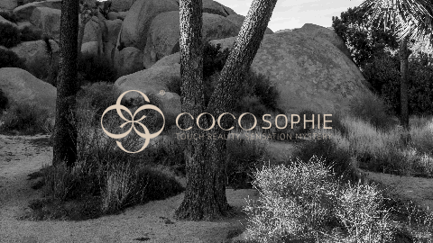 DAKO出品|COCOSOPHIE(图ZMzc3MjEwNDY4) - 品牌 - 站酷设计师DAKO大开创意原创素材 - 站酷ZCOOL