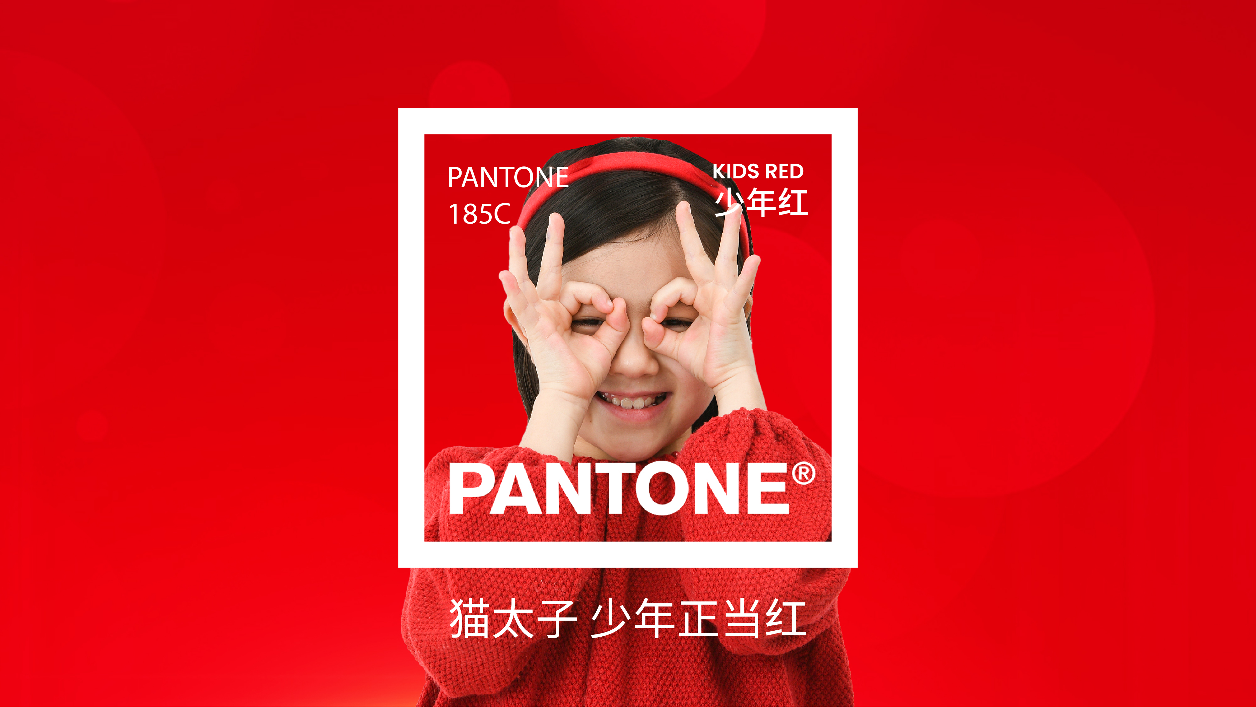 猫太子丨百万级咨询费的原创案例,知鱼品牌如何帮助企业走回正确的路、实现营收翻盘?(图ZMTQ5MTEwNTI=) - 观点 - 站酷设计师知鱼品牌_善犀原创素材 - 站酷ZCOOL