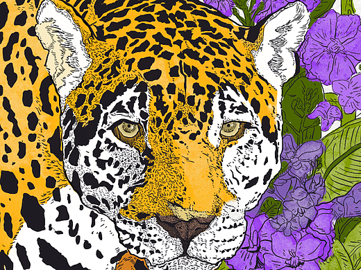 《紫豹兰》| 插画 | 服装印花
