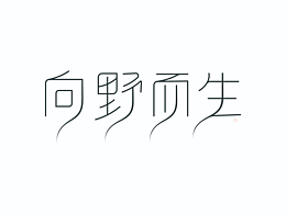 字體設(shè)計(jì)-向野而生