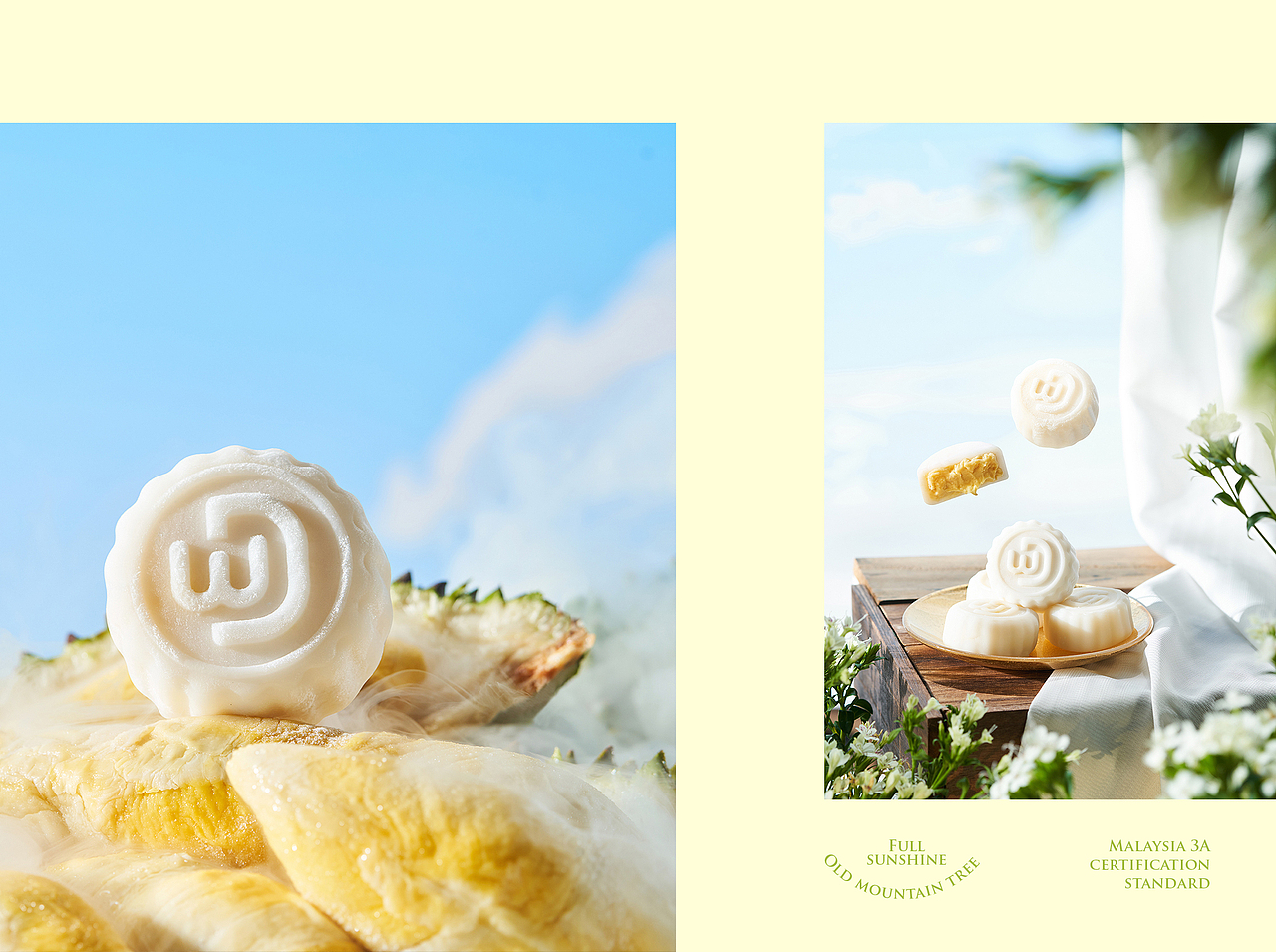 榴莲中秋礼盒包装设计