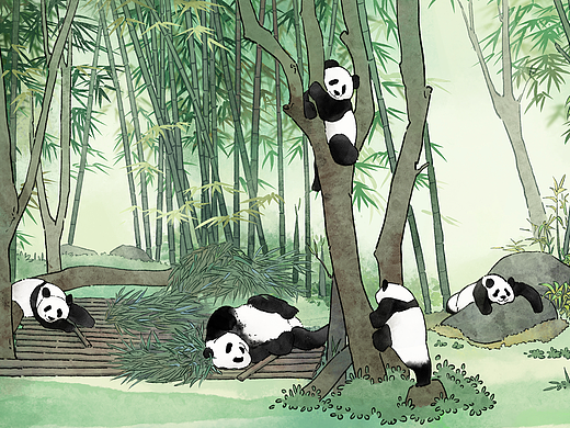 竹子熊猫