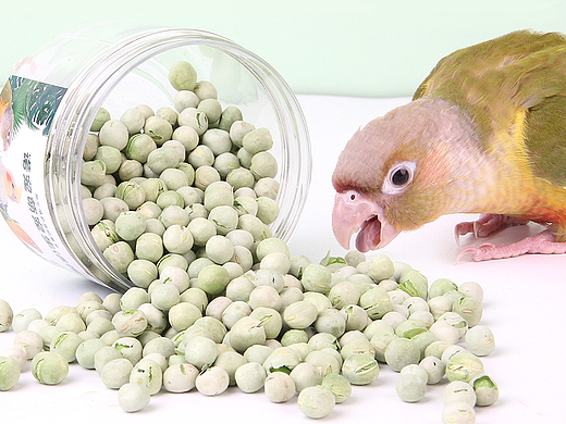 宠物产品--冻干零食