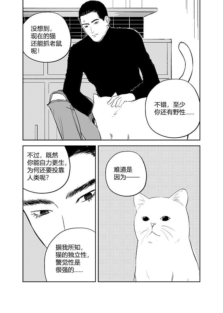 喵的人生（图ZMzc3MzM3MzUy） - 中/长篇漫画 - 站酷设计师山田大蛇原创素材 - 站酷ZCOOL
