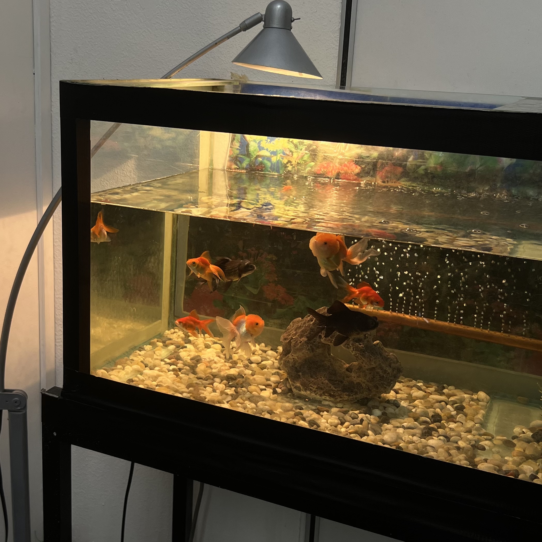 水泥猫的饭的个人主页（封面预览） - 主页封面设置 - 站酷设计师水泥猫的饭原创素材 - 站酷ZCOOL