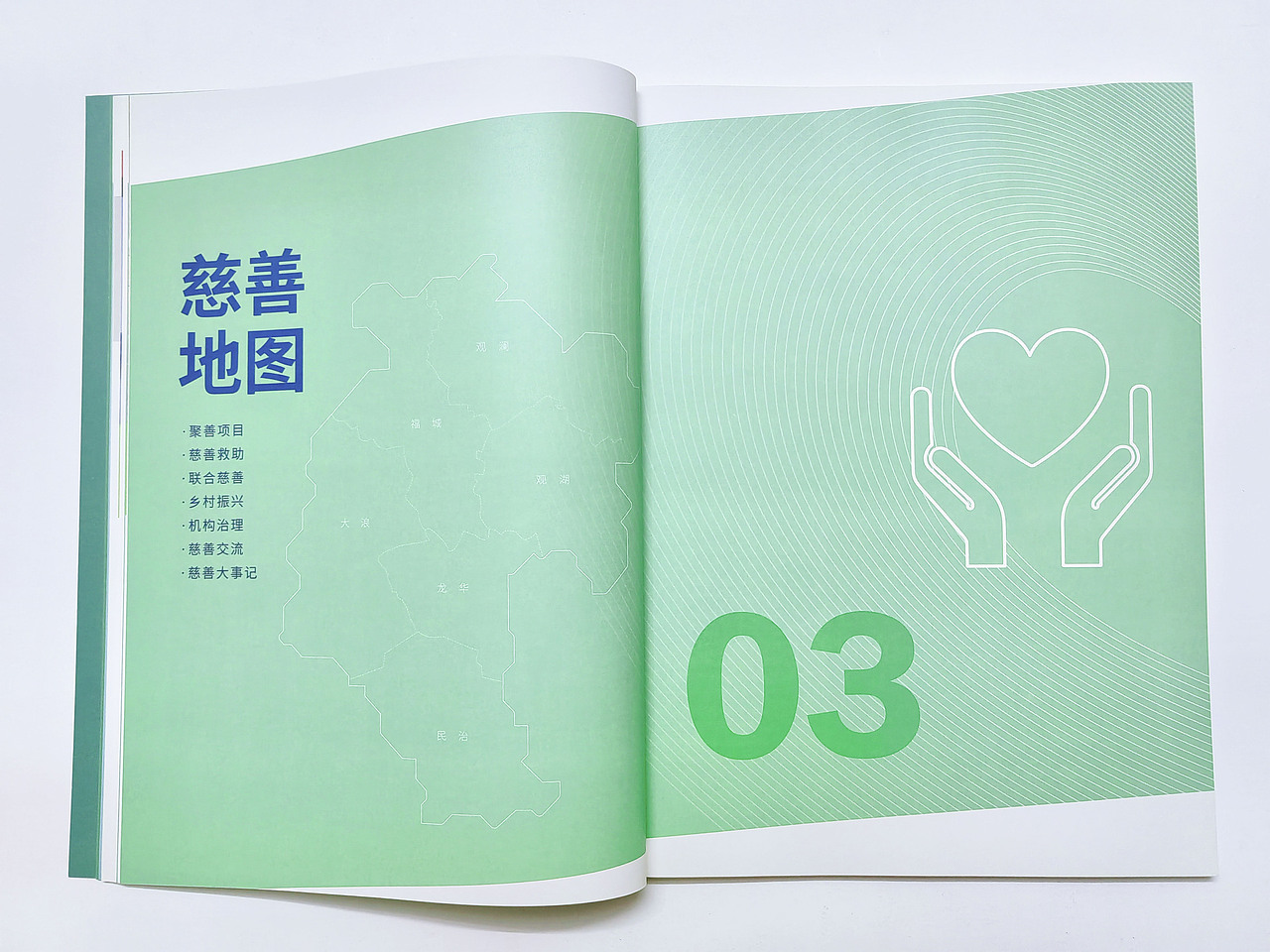 慈善会年报 宣传册设计 年报设计 政企画册 政府文化