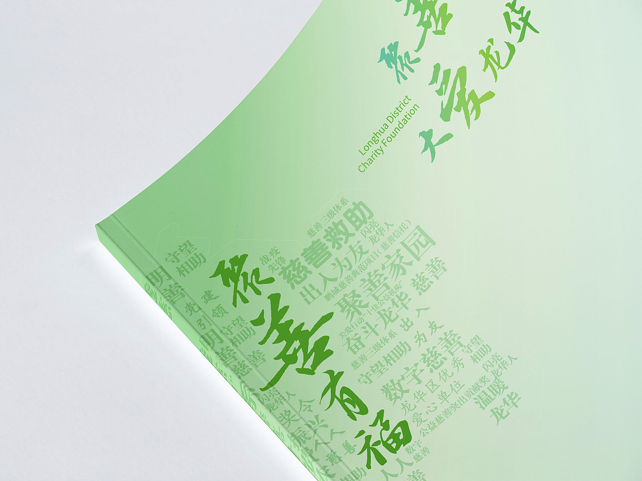 慈善会年报 宣传册设计 年报设计 政企画册 政府文化