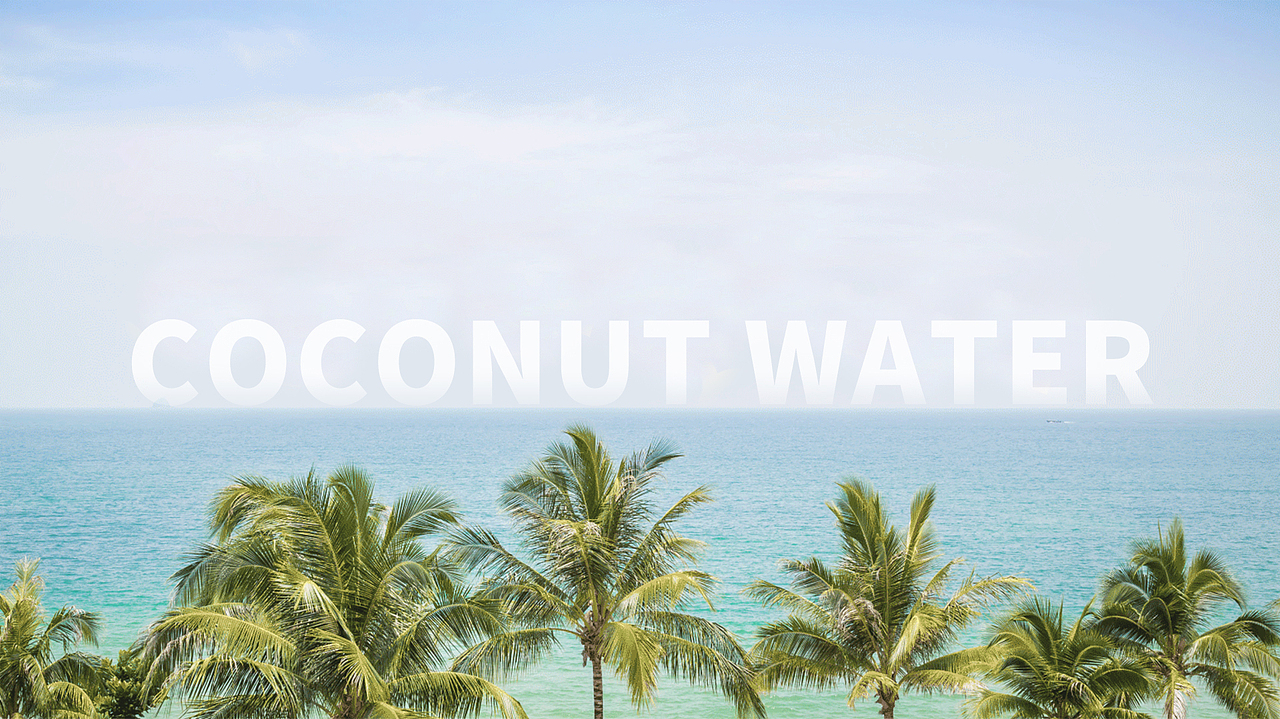 百润家-100%椰子水