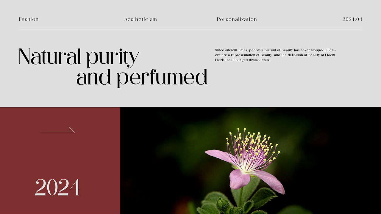 伊洛奇/品牌全案/VI设计（图ZMzc3MzczODY4） - 品牌 - 站酷设计师阡陌恋花原创素材 - 站酷ZCOOL